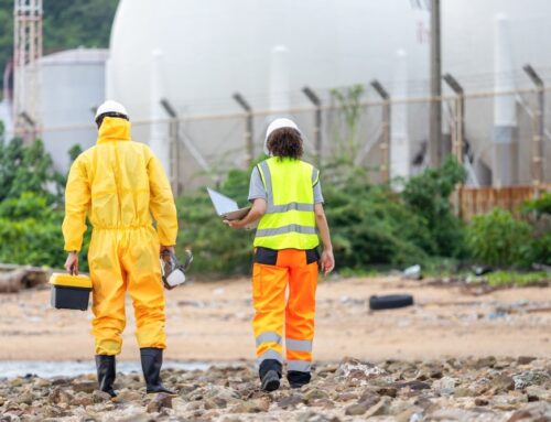 Site Remediation Central Coast and Newcastle. Your Guide