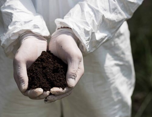 How Do You Fix Contaminated Soil?